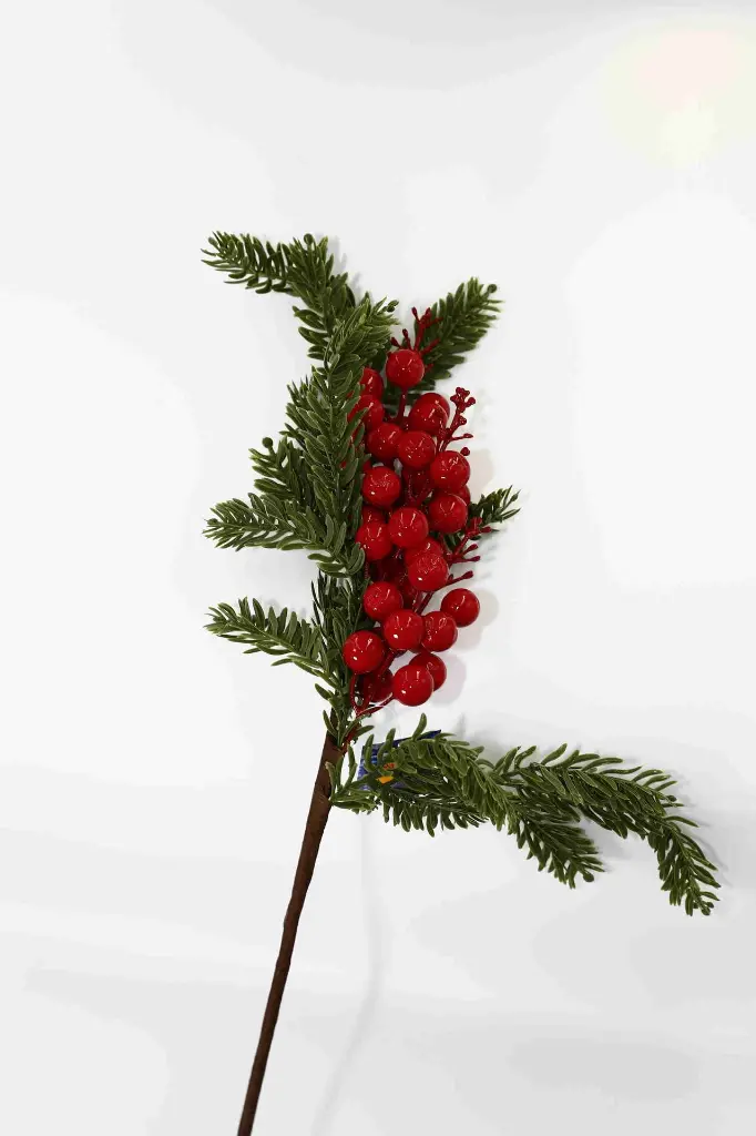 8597330106196-2.webp