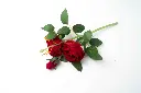 8598330002525c.webp