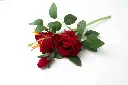 8598330002525b.webp