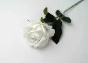8598330002501b.webp