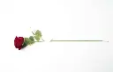 8598330002518a.webp