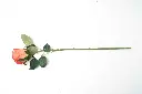 8598330002532b.webp