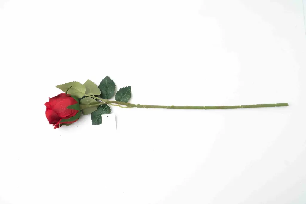 8598330002532c.webp