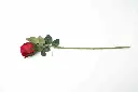8598330002532c.webp