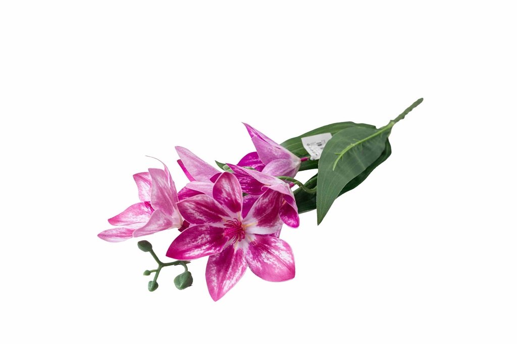 8597330068241a
