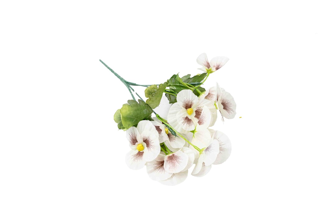 8597330067534d