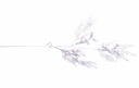 8597330105267a