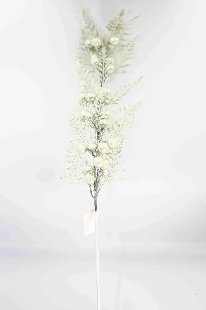 8597330105267-1.webp