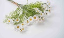 8597330067558b