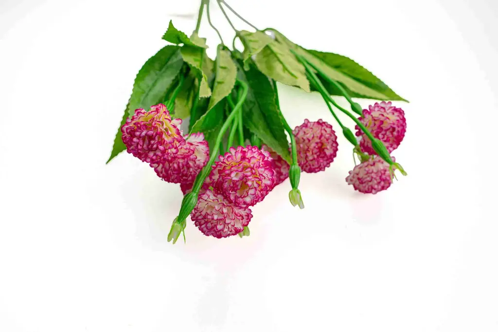 8597330103126d.webp