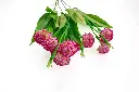 8597330103126d.webp