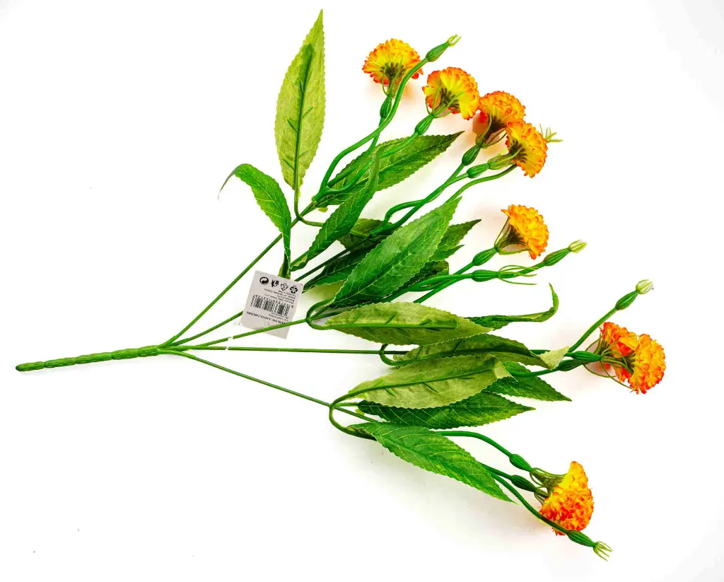 8597330103126e.webp