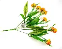 8597330103126e.webp