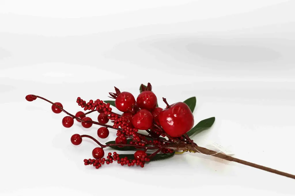 8597330106622-1.webp