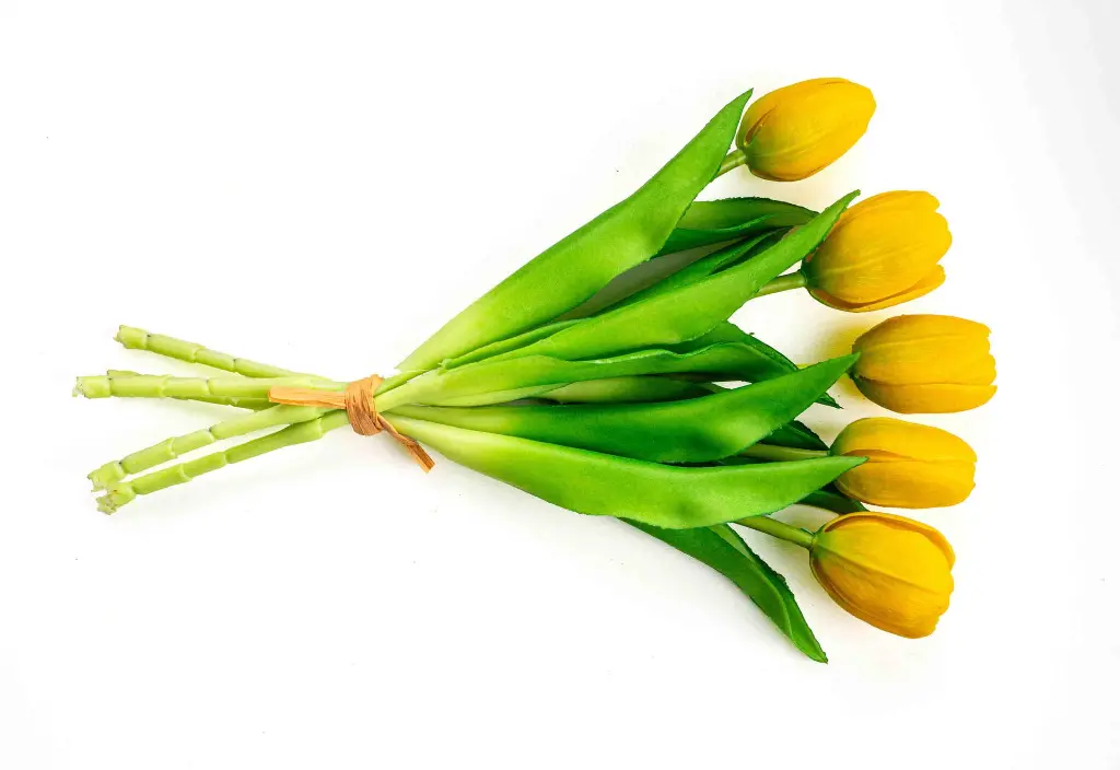 8597330103195b.webp