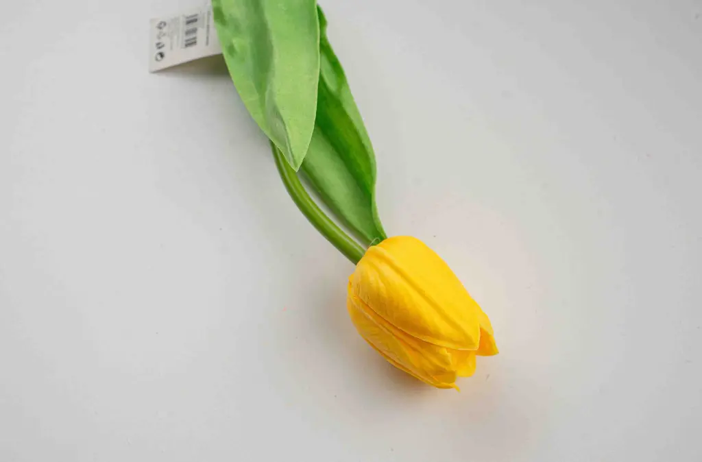 8597330083954b.webp