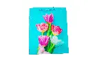 8597330101825c.webp