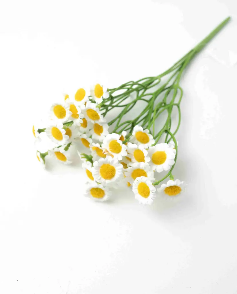 8597330103096a.webp