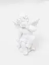 8597330086795b.webp