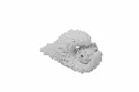 8597330011940c.webp
