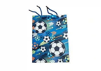 Túi quà tặng A10278 - size S