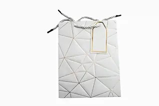 Túi quà tặng A10230 - size S