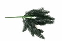 Giáng Sinh A10569