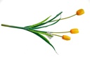 Hoa giả tulip A8407