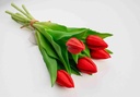 Hoa giả tulip B10320