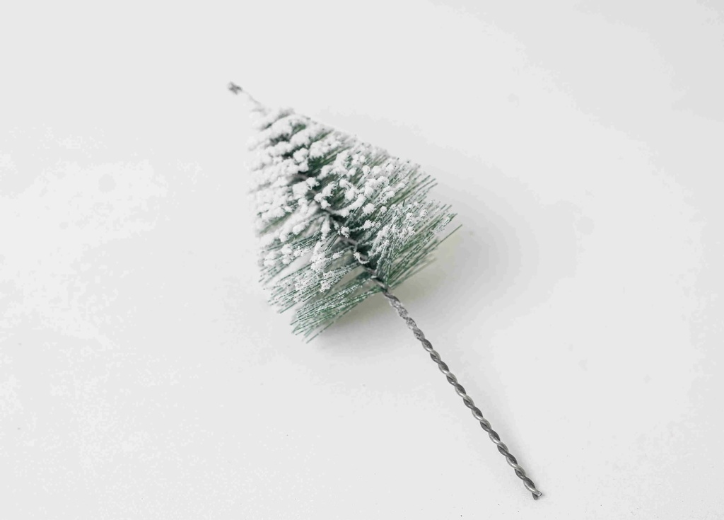 Phụ kiện trang trí cây thông Noel A11068
