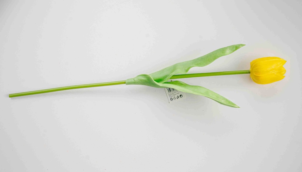 Hoa Tulip A8395