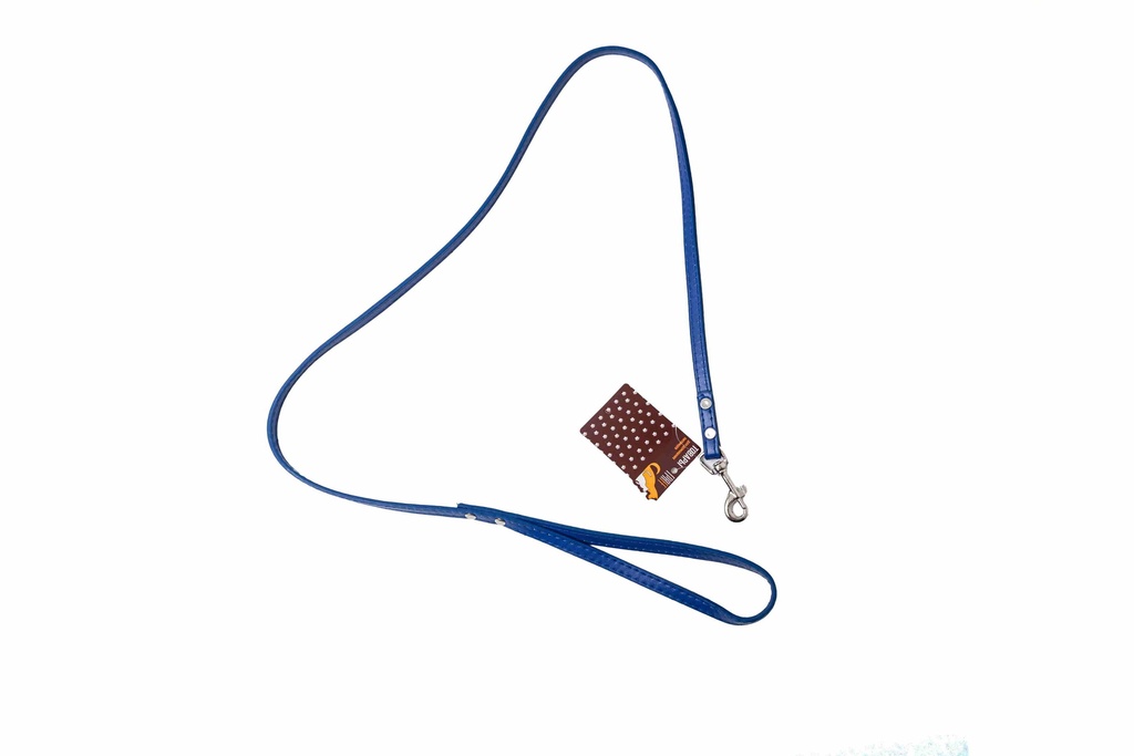 dây dắt 5613
