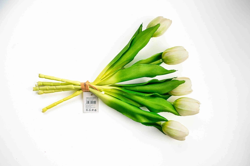 Hoa Tulip A10319