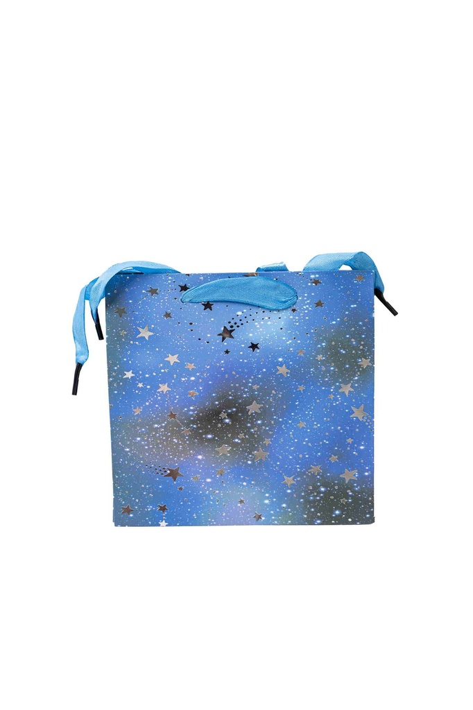 Túi quà size xs - A11160