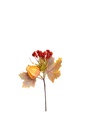 Cành mùa thu 21cm A17053