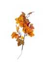 Cành thu 56cm A17049