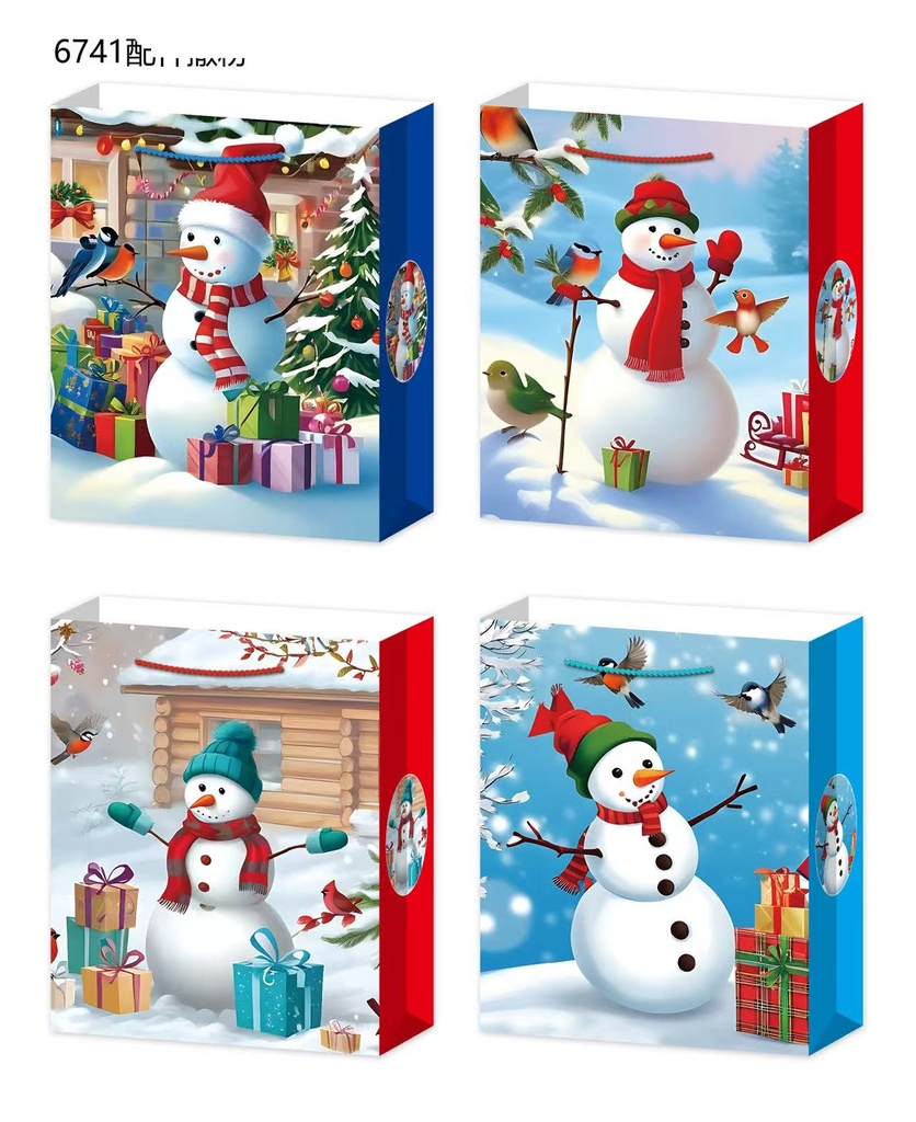 Túi quà kích thước M - A17345 (bao gồm 12 cái)