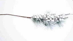 Ảnh sản phẩm