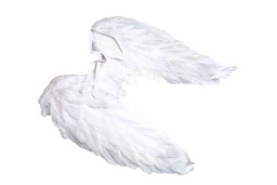 Ảnh sản phẩm