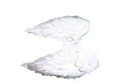 Ảnh sản phẩm
