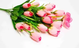 Ảnh sản phẩm
