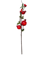 Ảnh sản phẩm